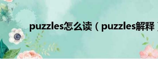 puzzles怎么读（puzzles解释）