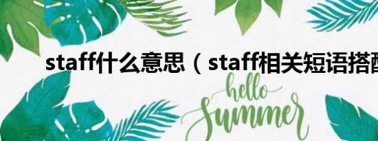 staff什么意思（staff相关短语搭配）