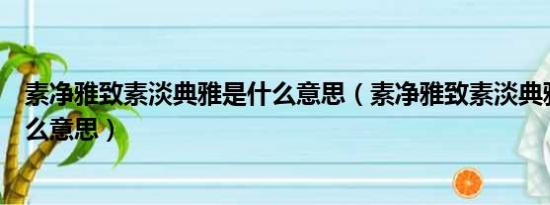 素净雅致素淡典雅是什么意思（素净雅致素淡典雅分别是什么意思）