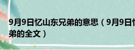 9月9日忆山东兄弟的意思（9月9日忆山东兄弟的全文）