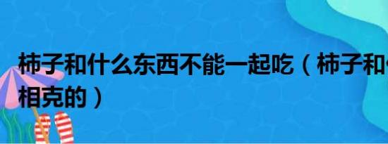 柿子和什么东西不能一起吃（柿子和什么东西相克的）