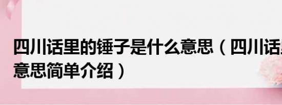 四川话里的锤子是什么意思（四川话里的锤子意思简单介绍）