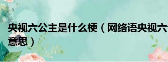 央视六公主是什么梗（网络语央视六公主什么意思）