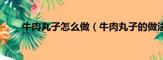 牛肉丸子怎么做（牛肉丸子的做法）