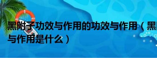 黑附子功效与作用的功效与作用（黑附子功效与作用是什么）