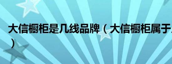 大信橱柜是几线品牌（大信橱柜属于几线品牌）