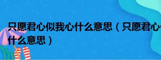 只愿君心似我心什么意思（只愿君心似我心是什么意思）