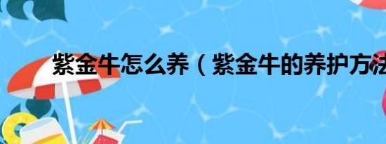 紫金牛怎么养（紫金牛的养护方法）