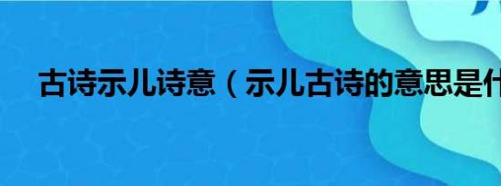 古诗示儿诗意（示儿古诗的意思是什么）