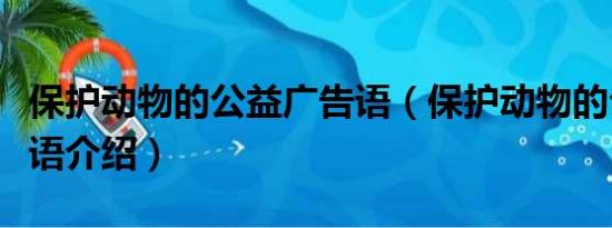 保护动物的公益广告语（保护动物的公益广告语介绍）