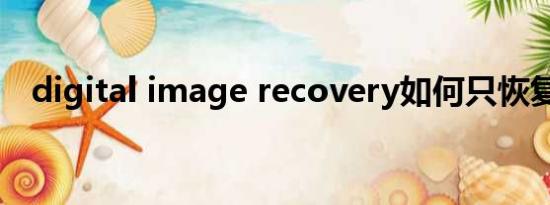 digital image recovery如何只恢复照片
