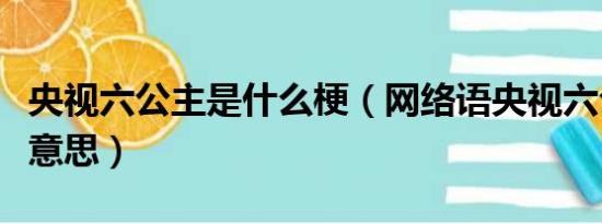 央视六公主是什么梗（网络语央视六公主什么意思）