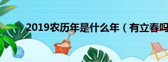 2019农历年是什么年（有立春吗）