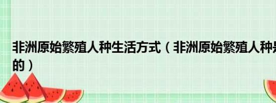 非洲原始繁殖人种生活方式（非洲原始繁殖人种是怎么生活的）