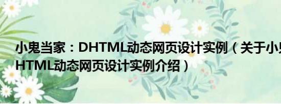 小鬼当家：DHTML动态网页设计实例（关于小鬼当家：DHTML动态网页设计实例介绍）