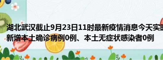 湖北武汉截止9月23日11时最新疫情消息今天实时数据通报:新增本土确诊病例0例、本土无症状感染者0例