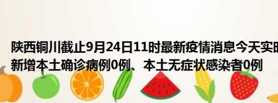 陕西铜川截止9月24日11时最新疫情消息今天实时数据通报:新增本土确诊病例0例、本土无症状感染者0例