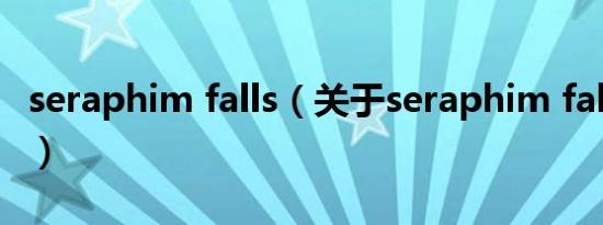 seraphim falls（关于seraphim falls的简介）