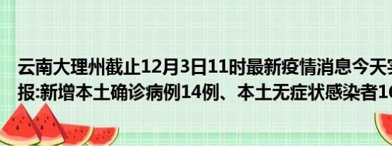 云南大理州截止12月3日11时最新疫情消息今天实时数据通报:新增本土确诊病例14例、本土无症状感染者160例