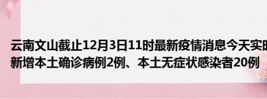 云南文山截止12月3日11时最新疫情消息今天实时数据通报:新增本土确诊病例2例、本土无症状感染者20例