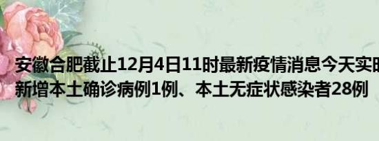 安徽合肥截止12月4日11时最新疫情消息今天实时数据通报:新增本土确诊病例1例、本土无症状感染者28例