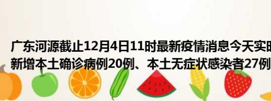 广东河源截止12月4日11时最新疫情消息今天实时数据通报:新增本土确诊病例20例、本土无症状感染者27例