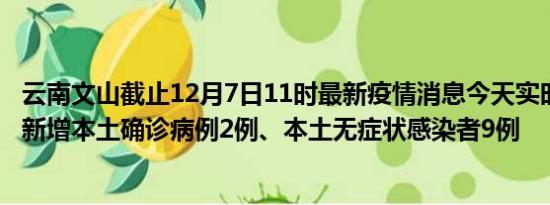 云南文山截止12月7日11时最新疫情消息今天实时数据通报:新增本土确诊病例2例、本土无症状感染者9例