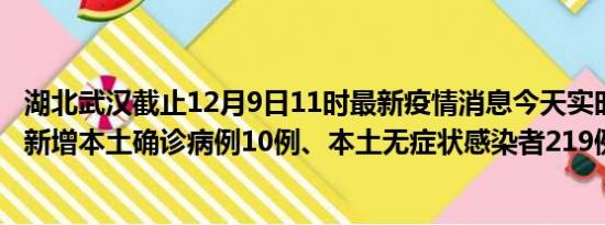 湖北武汉截止12月9日11时最新疫情消息今天实时数据通报:新增本土确诊病例10例、本土无症状感染者219例