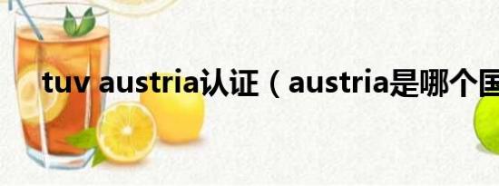 tuv austria认证（austria是哪个国家）