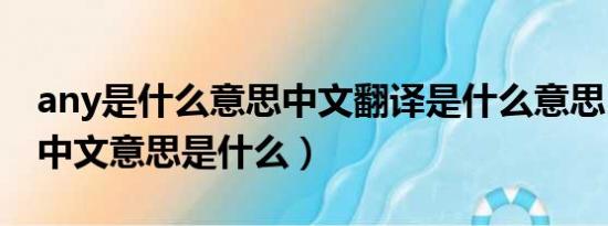 any是什么意思中文翻译是什么意思（any的中文意思是什么）