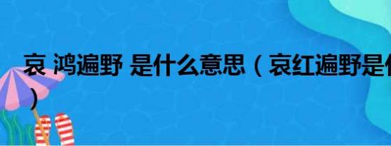 哀 鸿遍野 是什么意思（哀红遍野是什么意思）