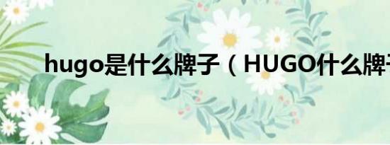 hugo是什么牌子（HUGO什么牌子）