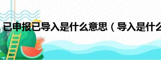 已申报已导入是什么意思（导入是什么意思）