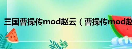 三国曹操传mod赵云（曹操传mod赵云传）