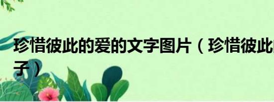 珍惜彼此的爱的文字图片（珍惜彼此的爱情句子）