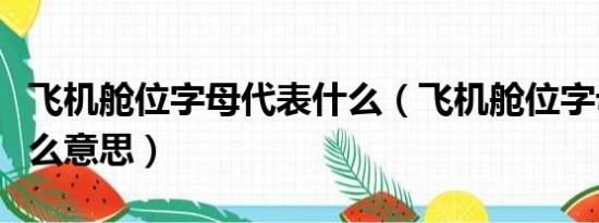 飞机舱位字母代表什么（飞机舱位字母代表什么意思）