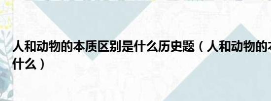 人和动物的本质区别是什么历史题（人和动物的本质区别是什么）