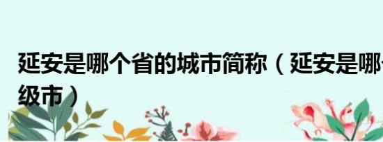 延安是哪个省的城市简称（延安是哪个省的地级市）