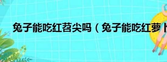 兔子能吃红苕尖吗（兔子能吃红萝卜吗）