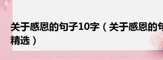 关于感恩的句子10字（关于感恩的句子10句精选）