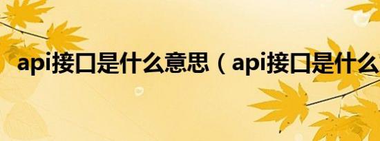 api接口是什么意思（api接口是什么意思）