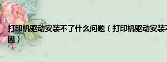 打印机驱动安装不了什么问题（打印机驱动安装不了什么原因）