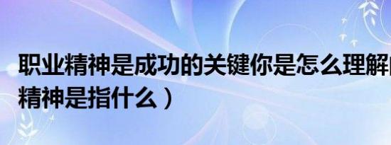 职业精神是成功的关键你是怎么理解的（职业精神是指什么）