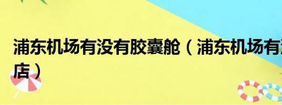 浦东机场有没有胶囊舱（浦东机场有没有免税店）