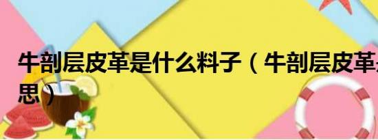 牛剖层皮革是什么料子（牛剖层皮革是什么意思）