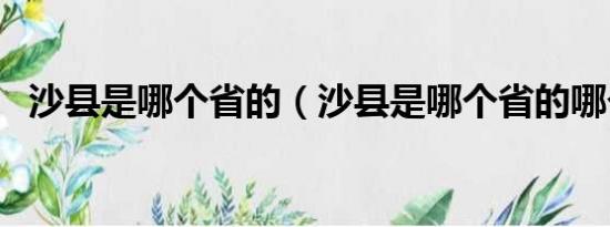 沙县是哪个省的（沙县是哪个省的哪个市）