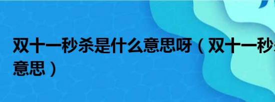 双十一秒杀是什么意思呀（双十一秒杀是什么意思）