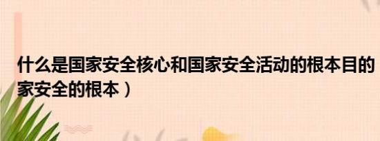 什么是国家安全核心和国家安全活动的根本目的（什么是国家安全的根本）