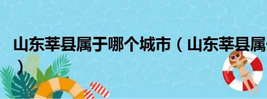 山东莘县属于哪个城市（山东莘县属于哪个市）