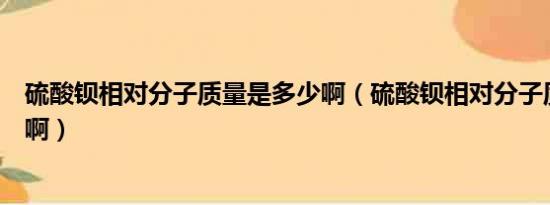 硫酸钡相对分子质量是多少啊（硫酸钡相对分子质量是多少啊）